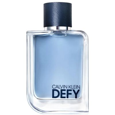 Defy Eau de Toilette 100ml