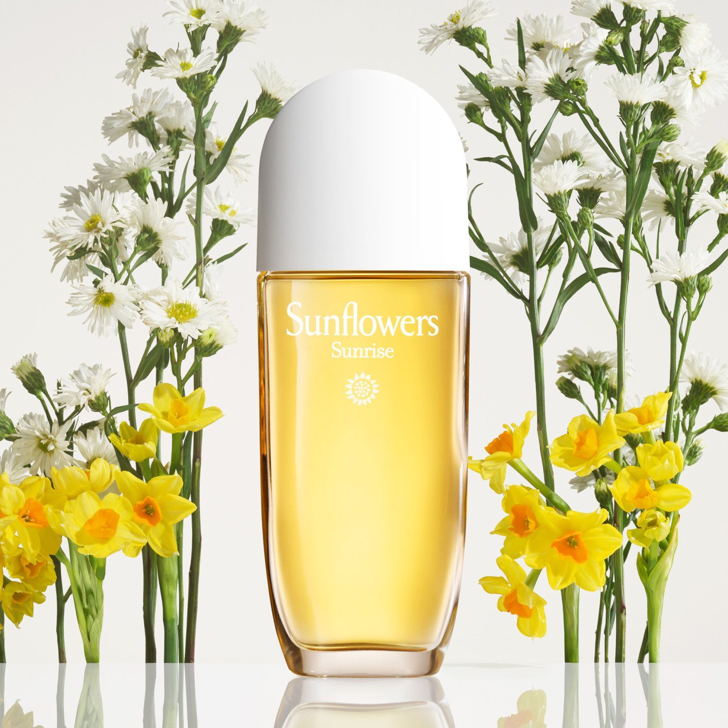 Sunflowers Sunrise Eau de Toilette 100ml image number null