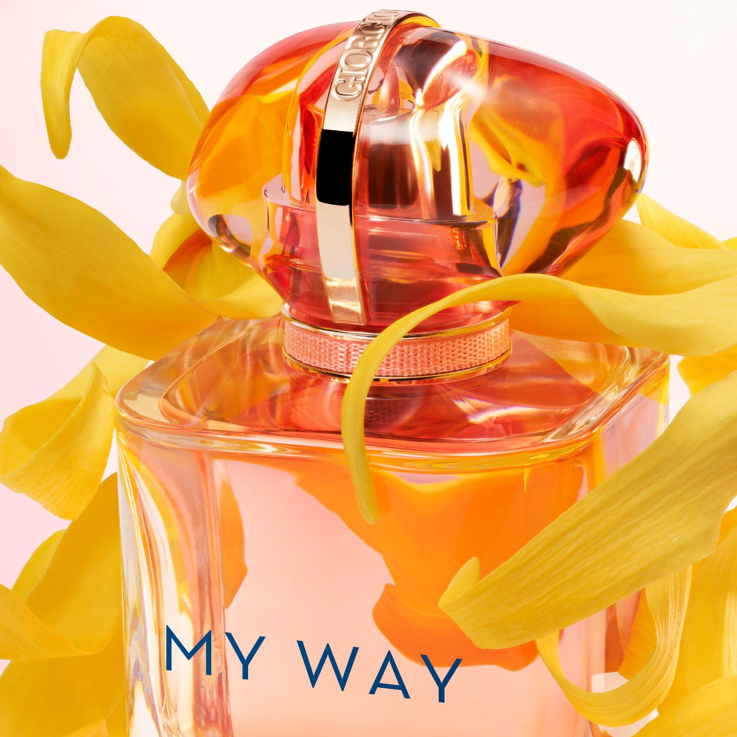 My Way Ylang Eau de Parfum 90ml image number null