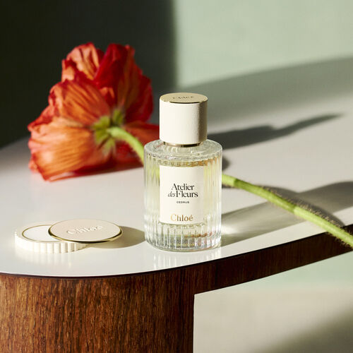 Atelier des Fleurs Cedrus EDP 50ml image number null