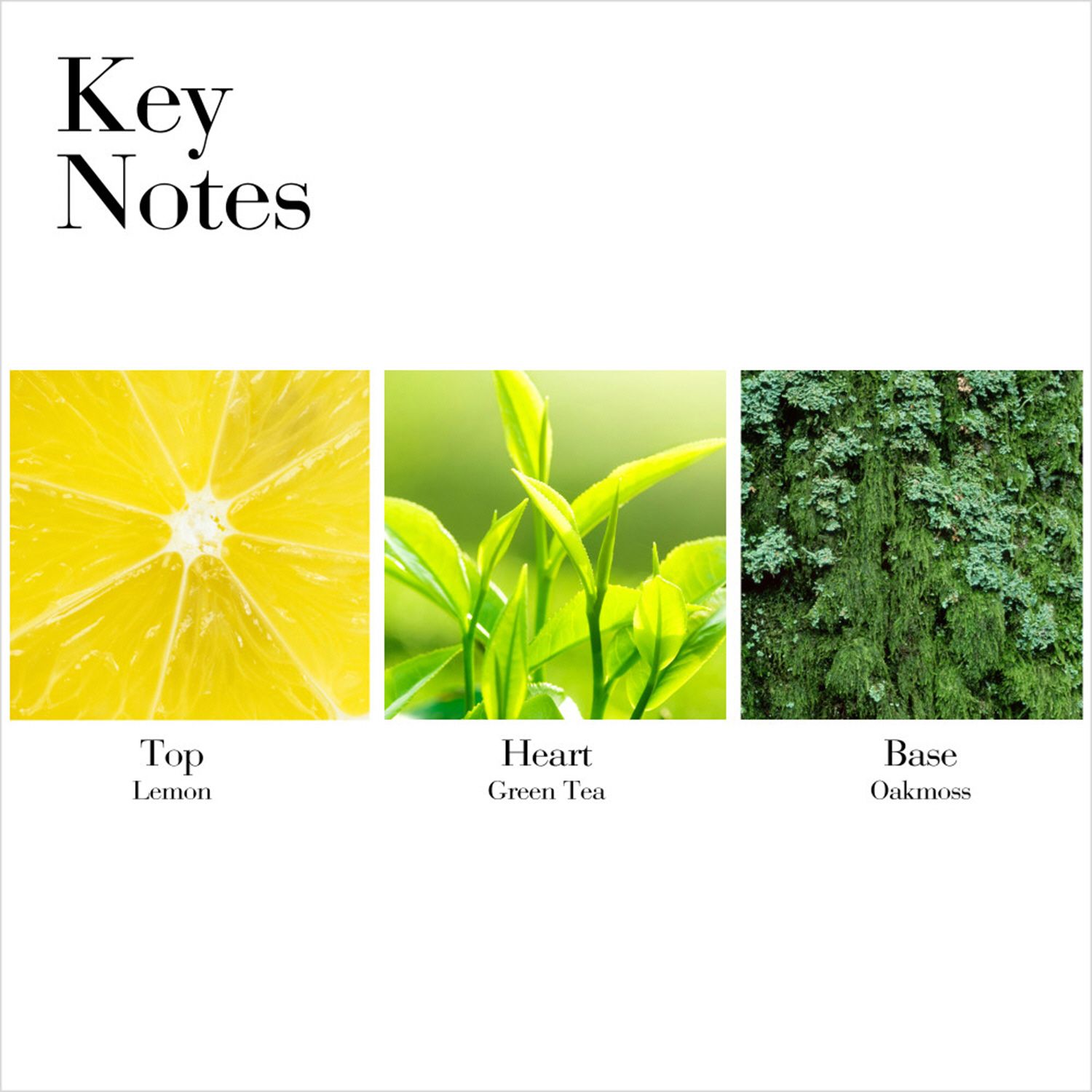 Green Tea Scent Spray 100ml image number null
