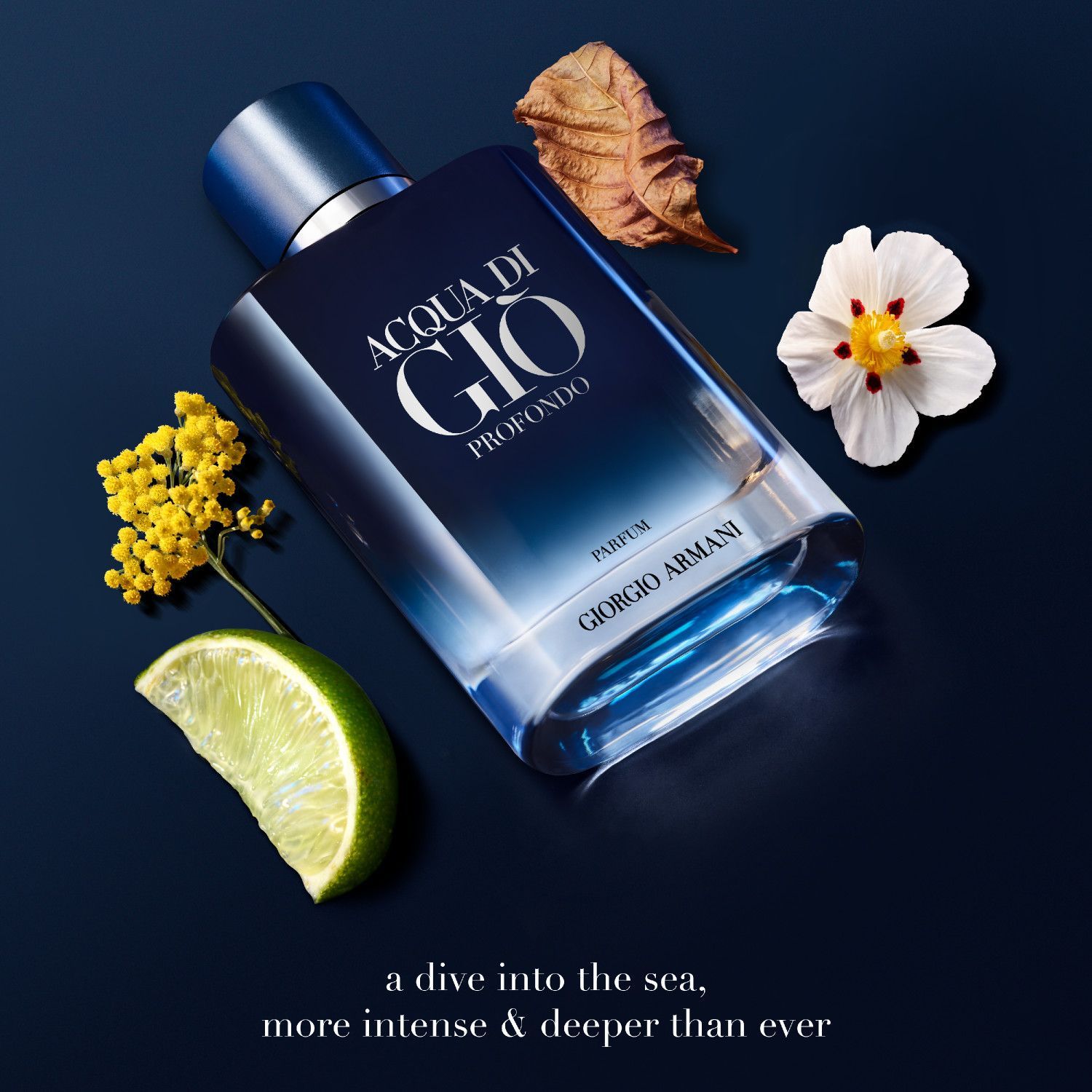Acqua di Giò Profondo Parfum 50ml image number null