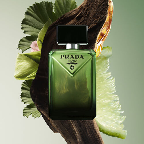 Paradigme EDP 100ml image number null