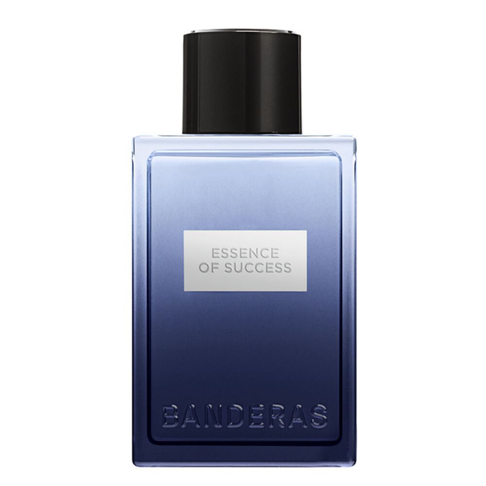 ABD Essence of Success EDT 100ml image number null